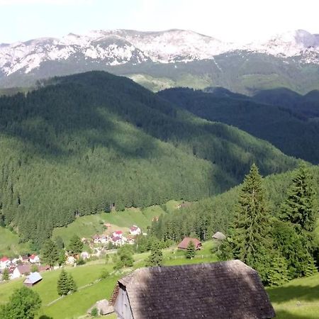 Alegria - Moieciu De Sus Hotel Moeciu De Sus Buitenkant foto