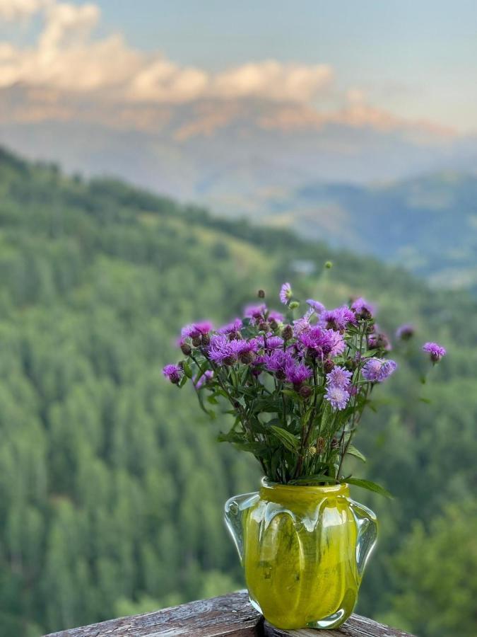 Alegria - Moieciu De Sus Hotel Moeciu De Sus Buitenkant foto