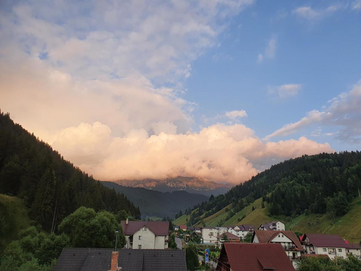 Alegria - Moieciu De Sus Hotel Moeciu De Sus Buitenkant foto