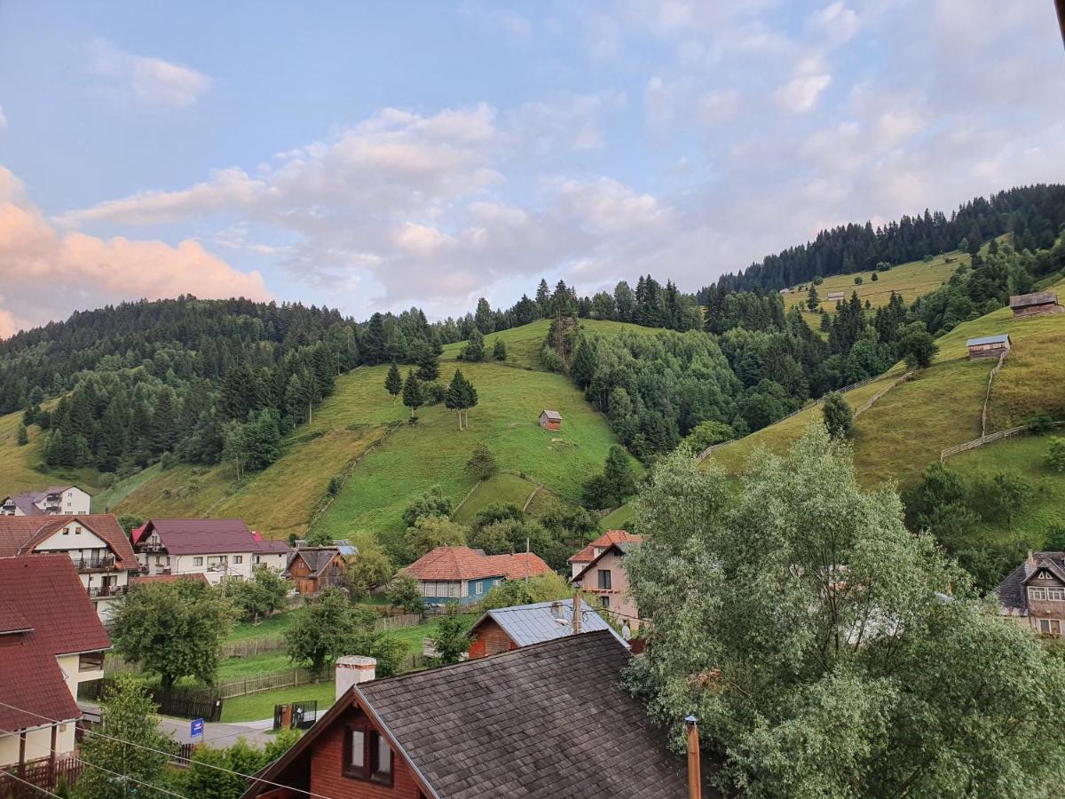 Alegria - Moieciu De Sus Hotel Moeciu De Sus Buitenkant foto