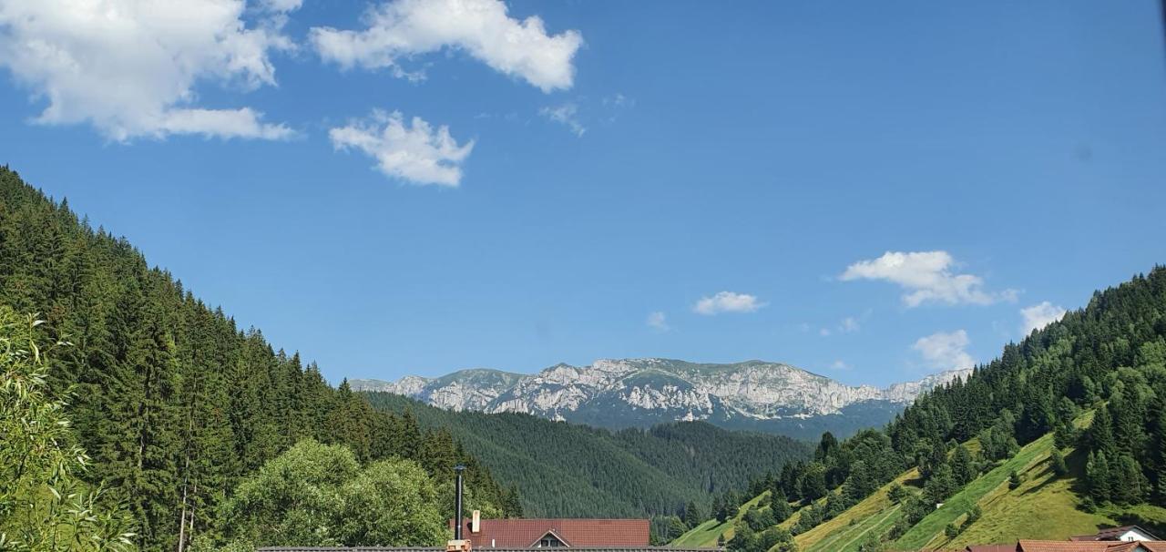 Alegria - Moieciu De Sus Hotel Moeciu De Sus Buitenkant foto
