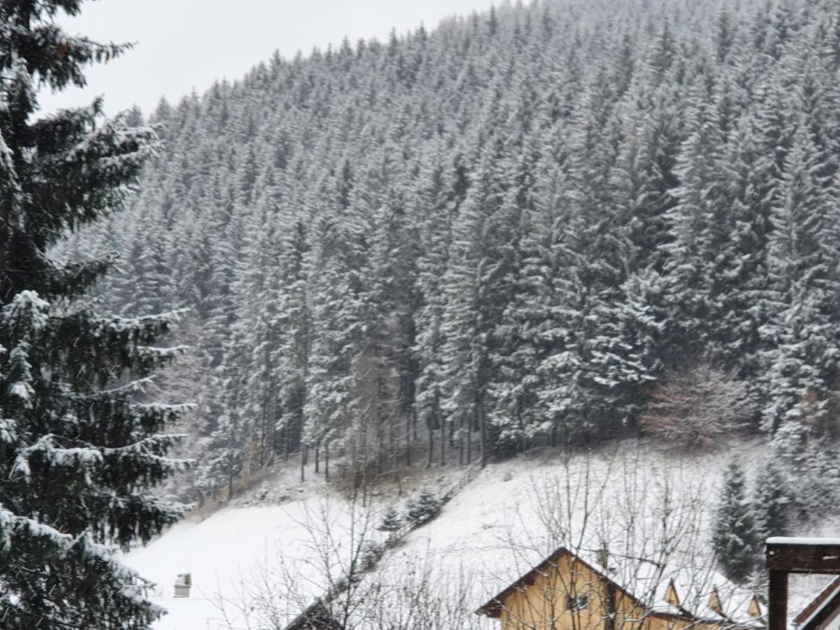 Alegria - Moieciu De Sus Hotel Moeciu De Sus Buitenkant foto