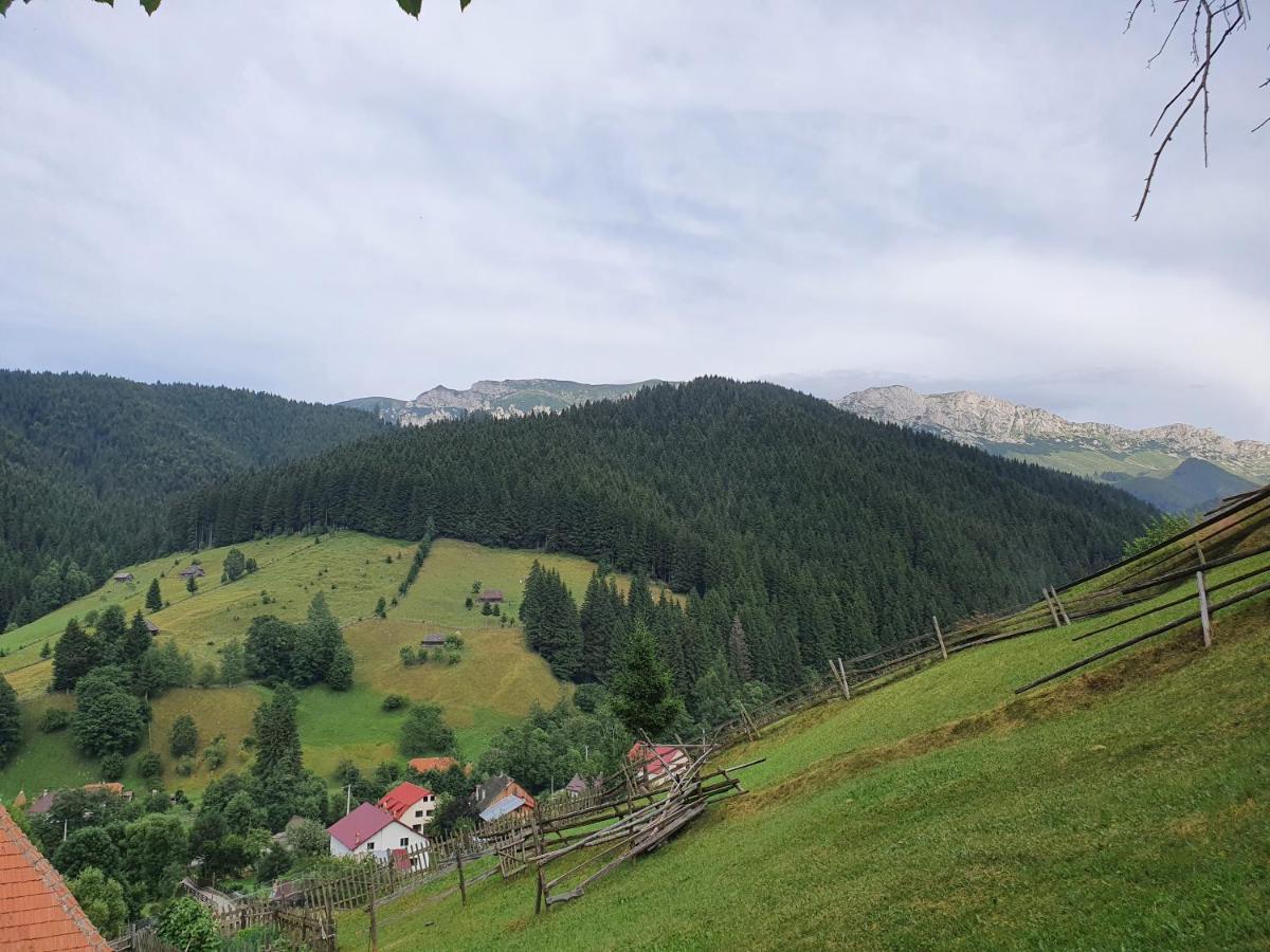 Alegria - Moieciu De Sus Hotel Moeciu De Sus Buitenkant foto