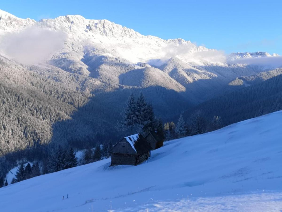 Alegria - Moieciu De Sus Hotel Moeciu De Sus Buitenkant foto