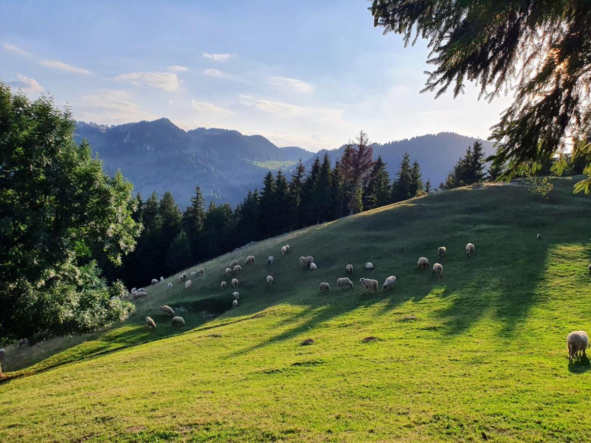 Alegria - Moieciu De Sus Hotel Moeciu De Sus Buitenkant foto