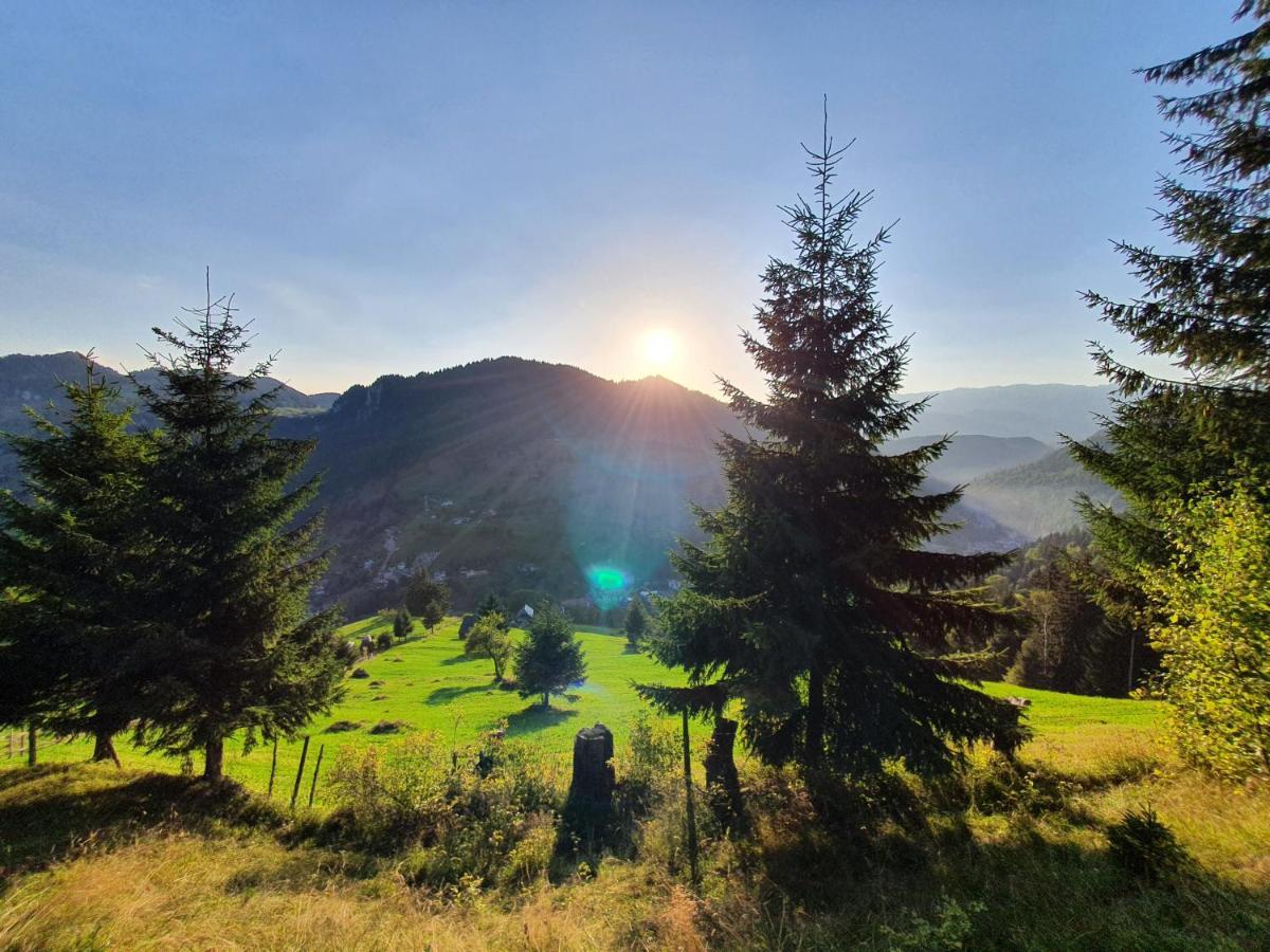Alegria - Moieciu De Sus Hotel Moeciu De Sus Buitenkant foto