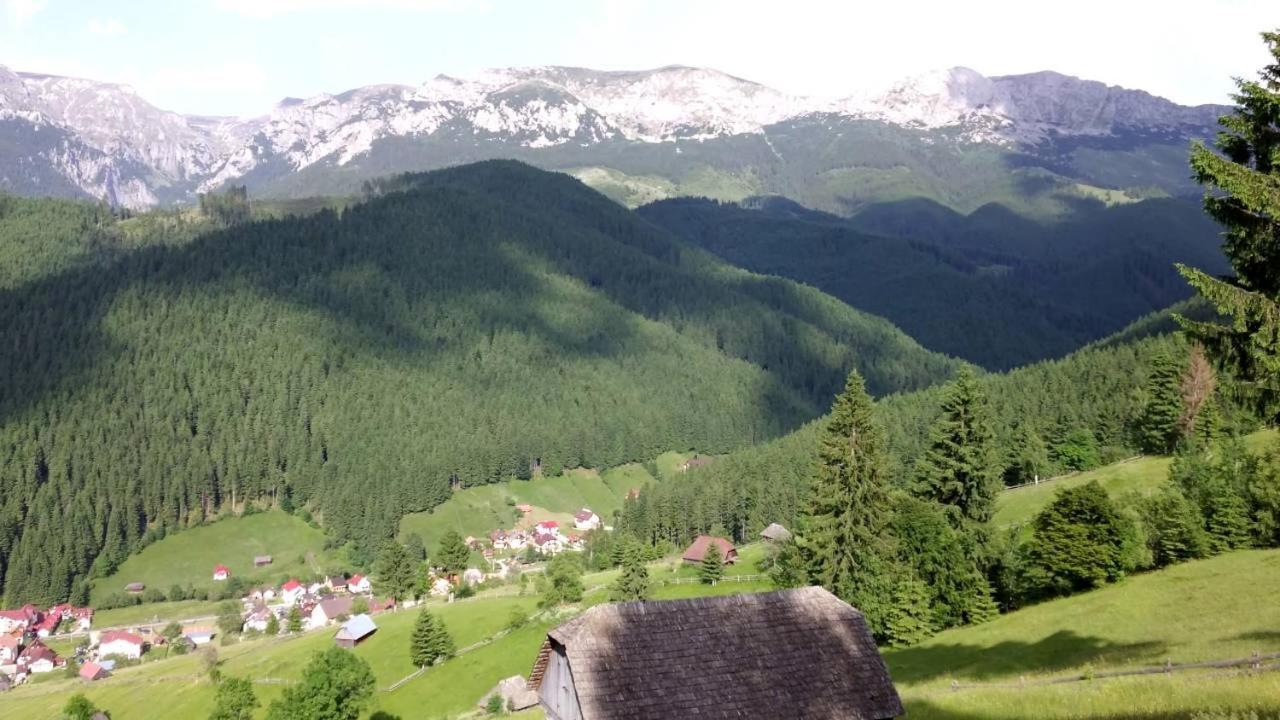 Alegria - Moieciu De Sus Hotel Moeciu De Sus Buitenkant foto